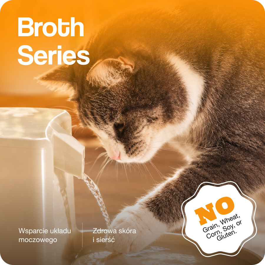 Broth