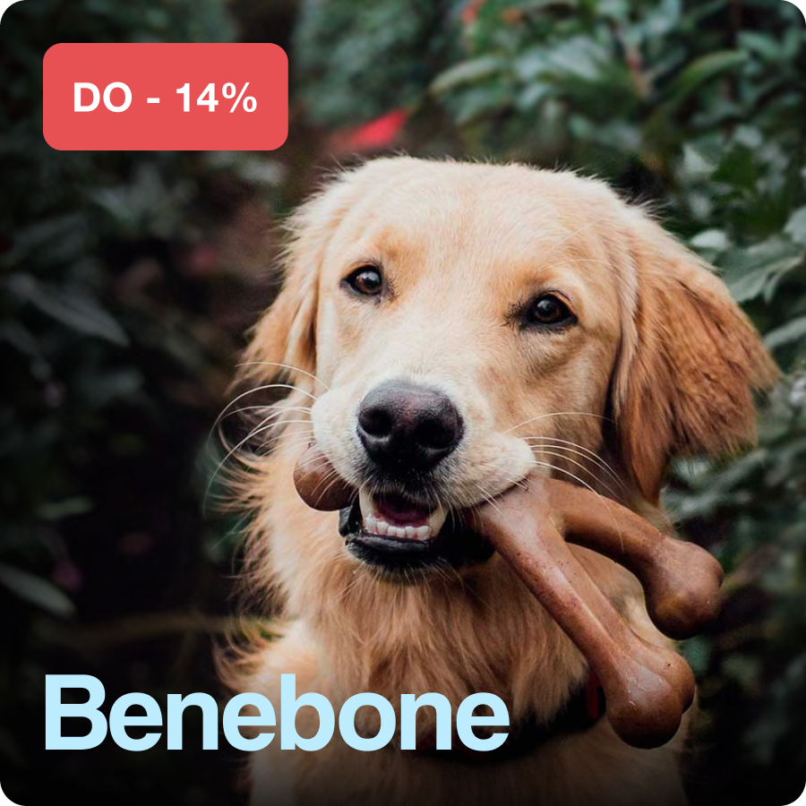 Benebone