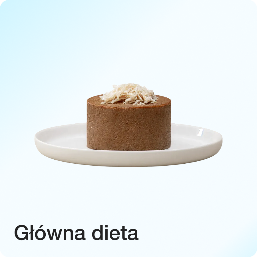 Główna dieta