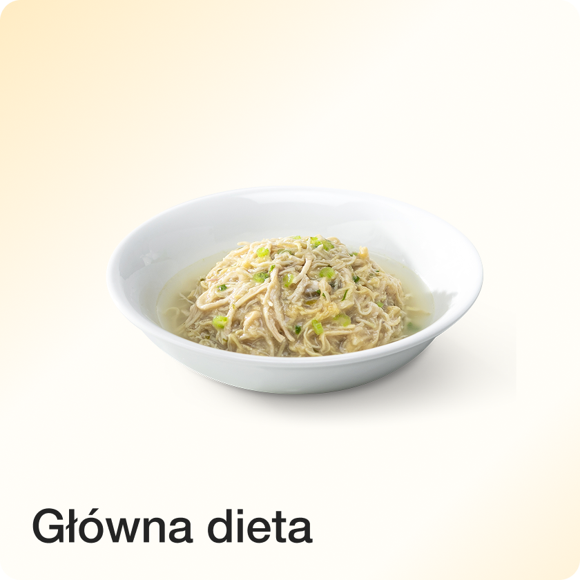 Główna dieta