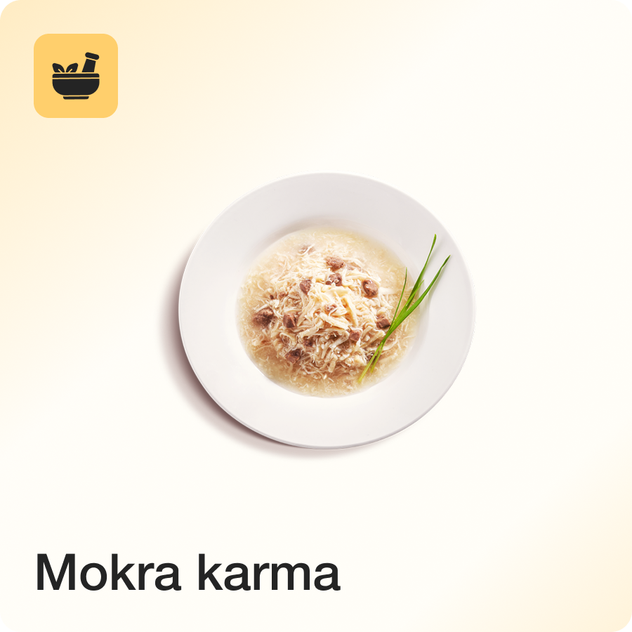 Mokra karma dla kotów