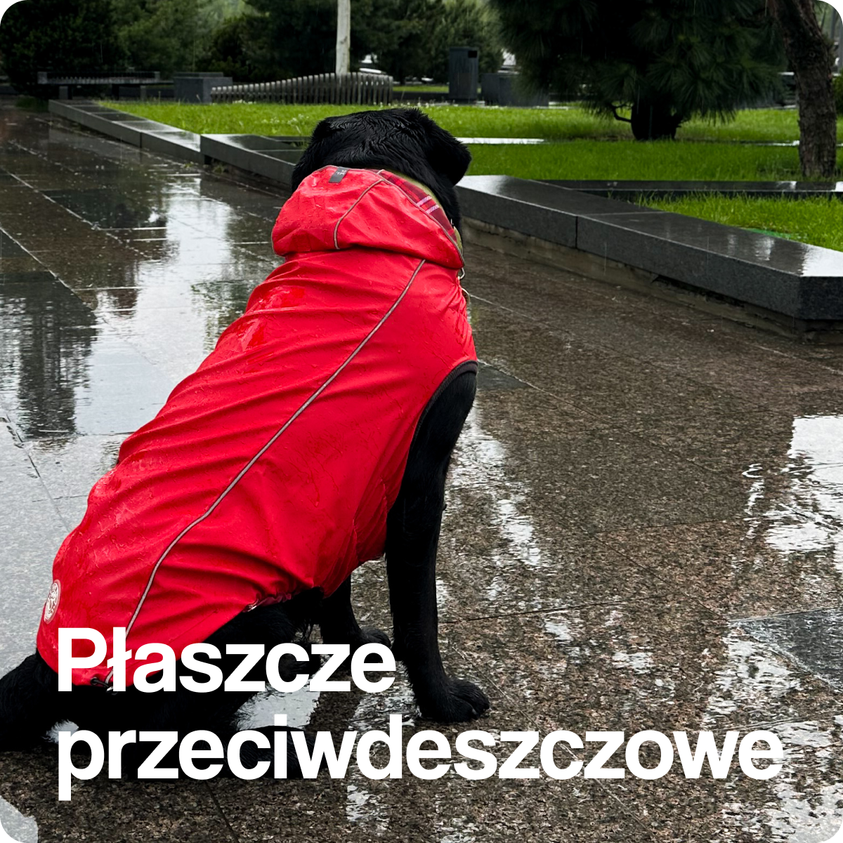 Płaszcze przeciwdeszczowe