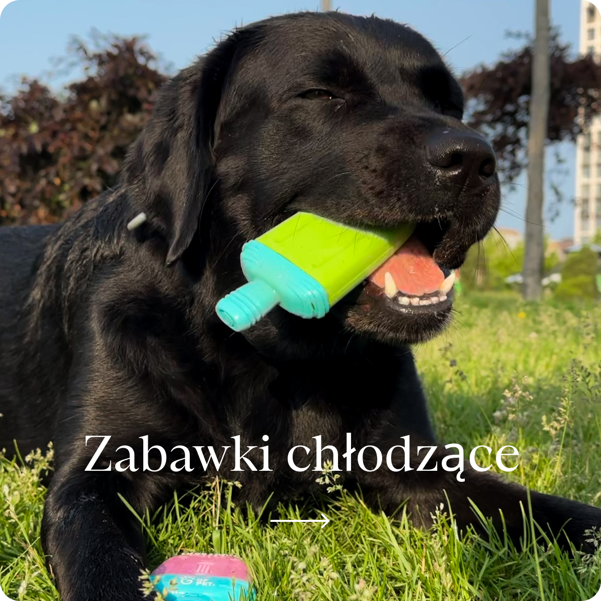 Zabawki chłodzące