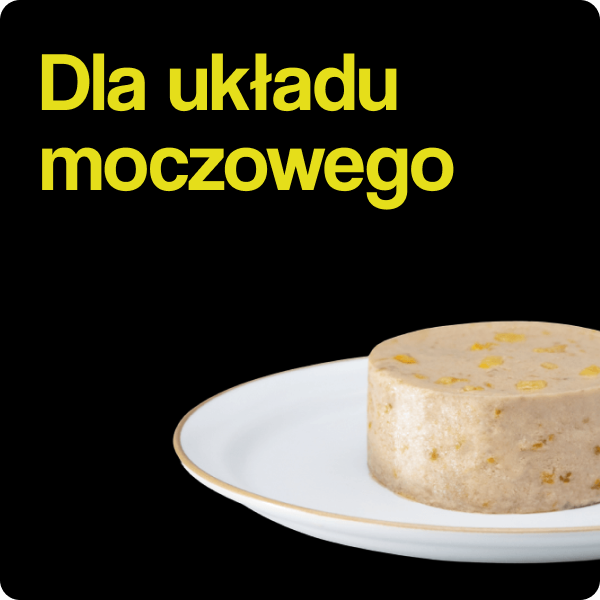 Dla układu moczowego