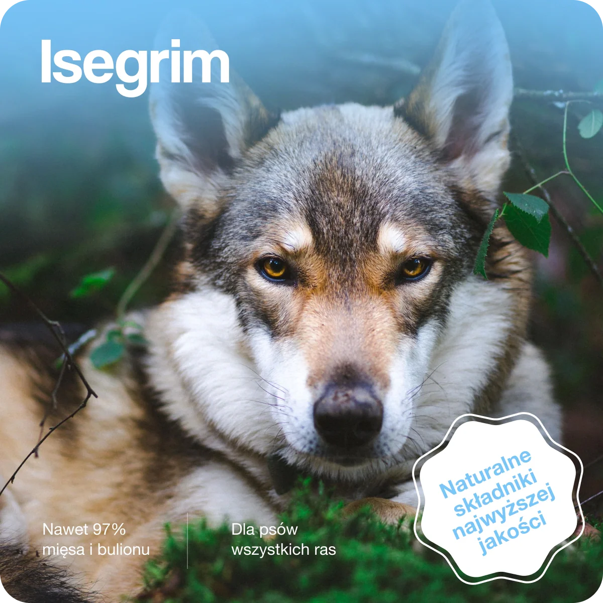 Isegrim