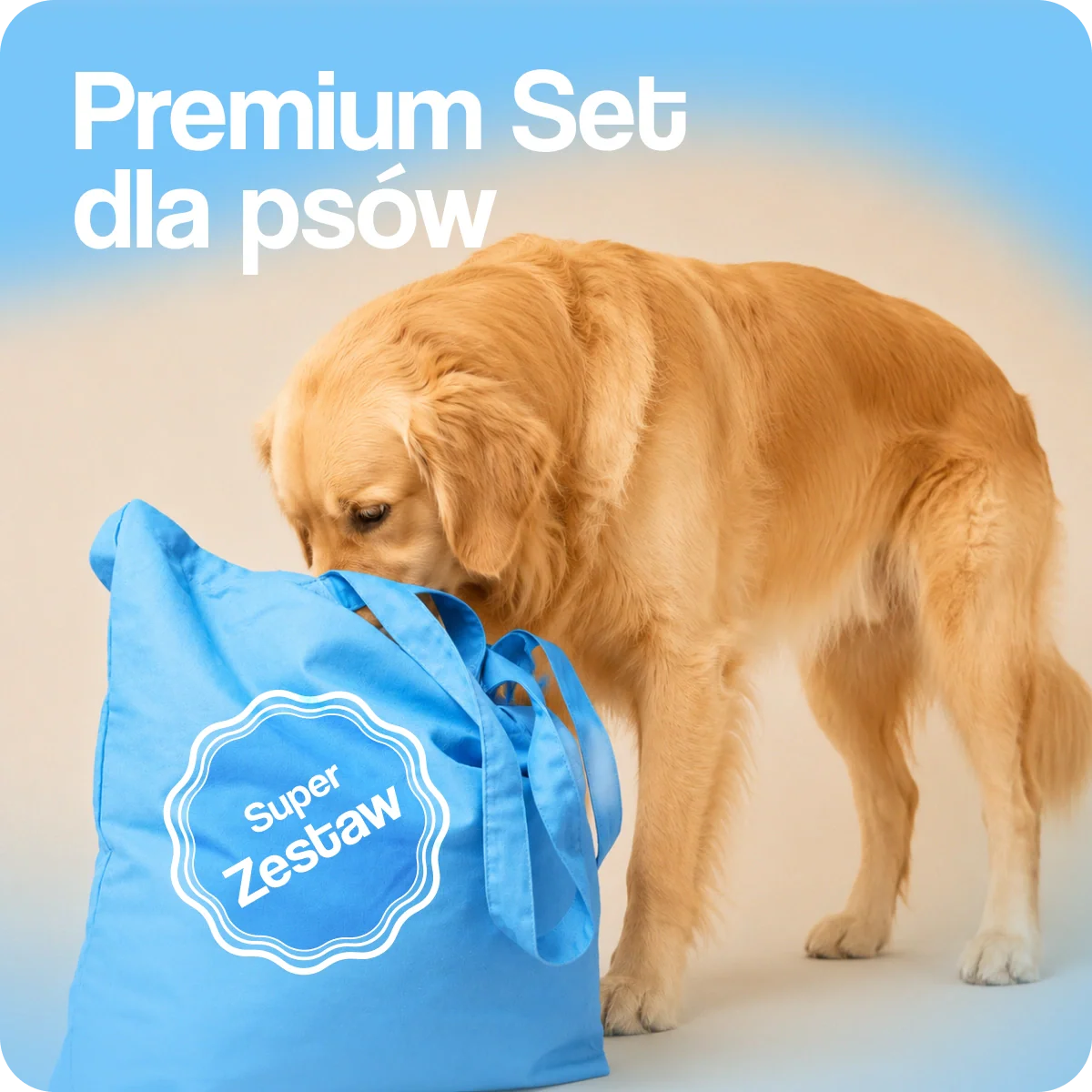 Oferta tygodnia/miesiąca dla psów