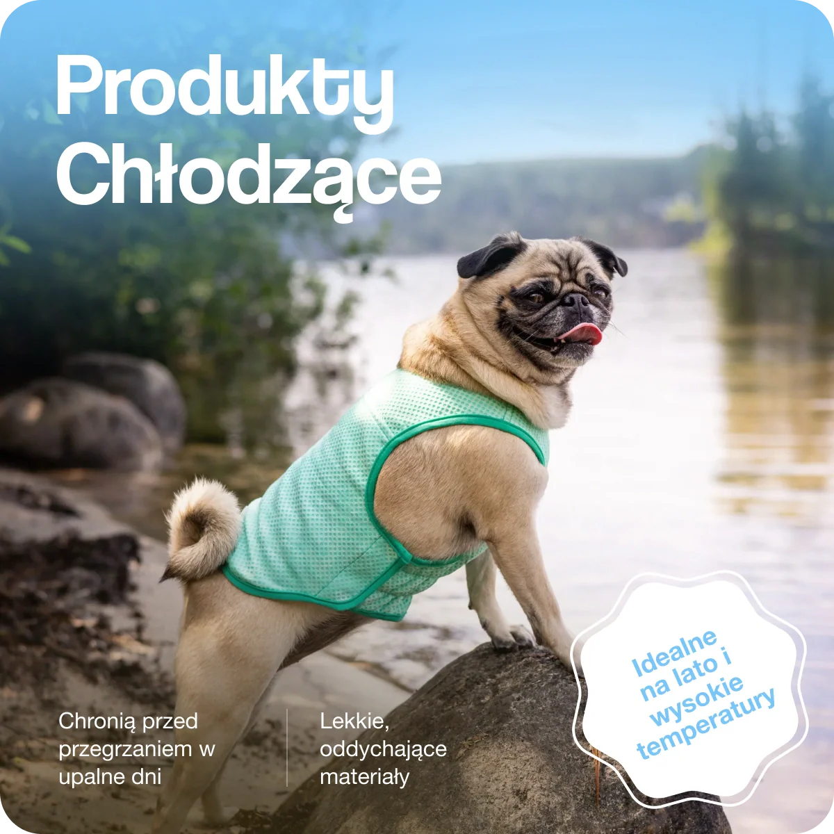 Produkty chłodzące
