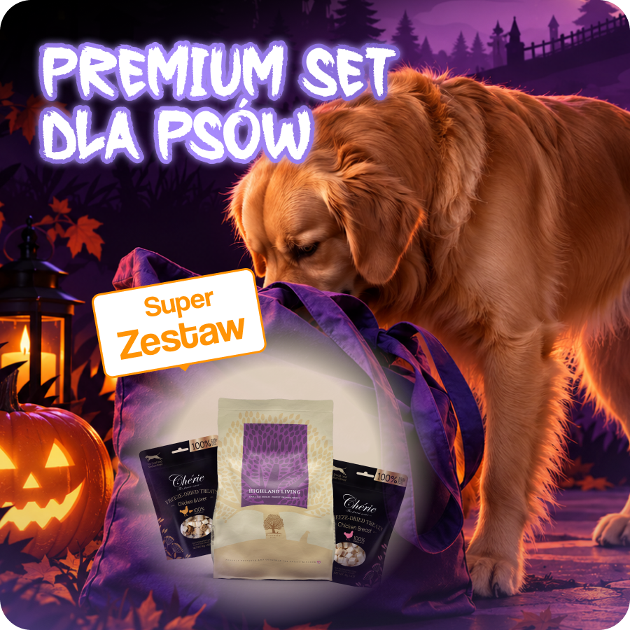 Oferta tygodnia/miesiąca dla psów