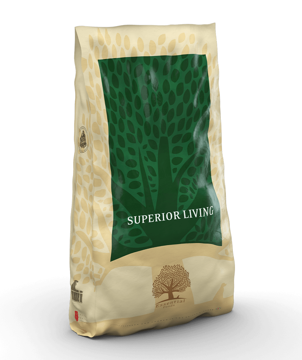 ESSENTIAL SUPERIOR LIVING DUŻE RASY 10KG
