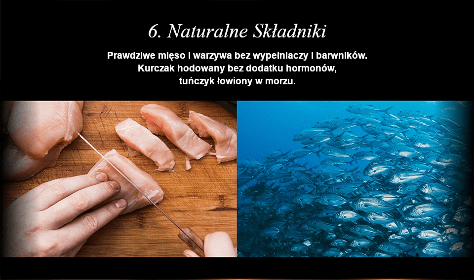 PROMOCJA (20+4) Chérie Kolekcja Aksamitnych Musów Zestaw 24 szt. x 80 g. + GRATIS 1 Meaty Cubes