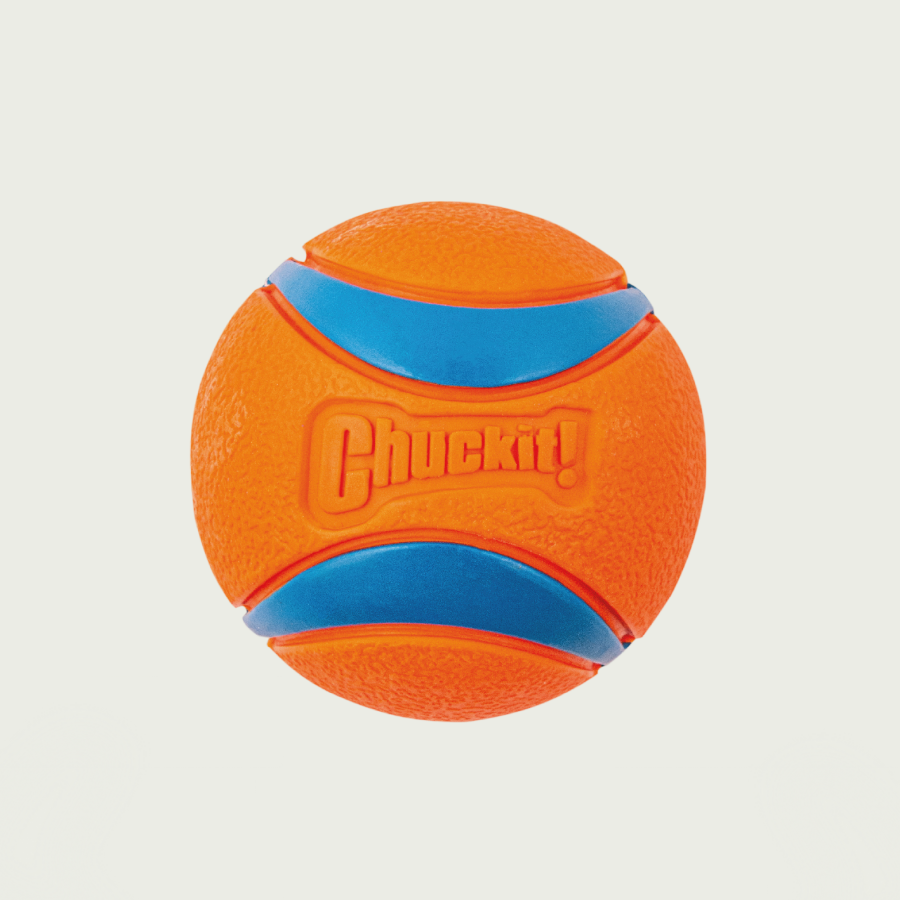 Chuckit! Duża piłka Ultra dla psa | Trening i aktywna zabawa | Pomarańczowa, rozmiar L