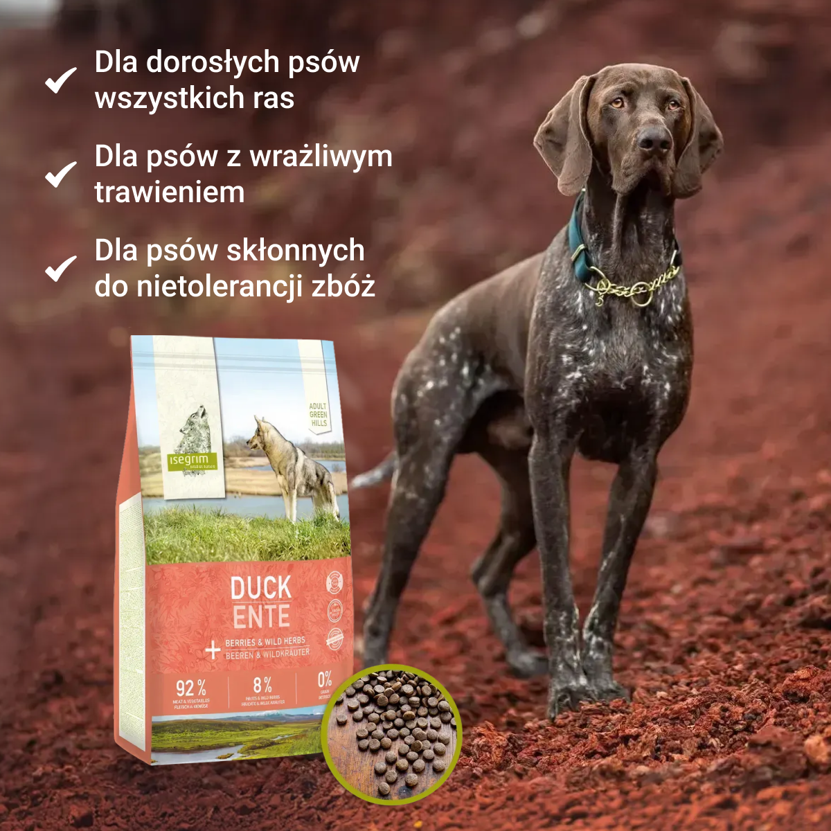 Isegrim Kaczka + Sweet Potato, Rose Hip & Wild Herbs | Adult 3kg