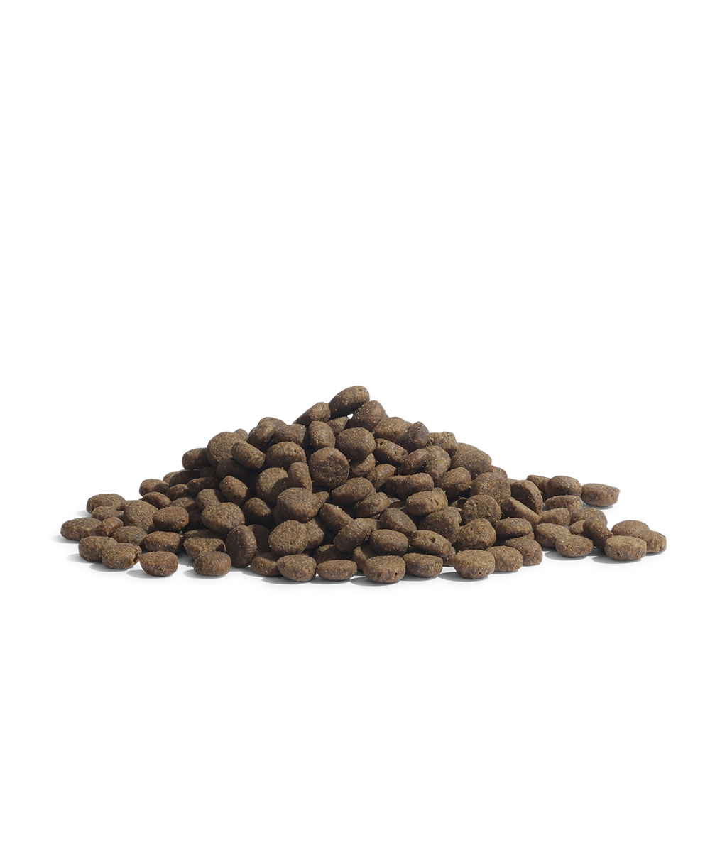 ESSENTIAL PANTHER 3KG