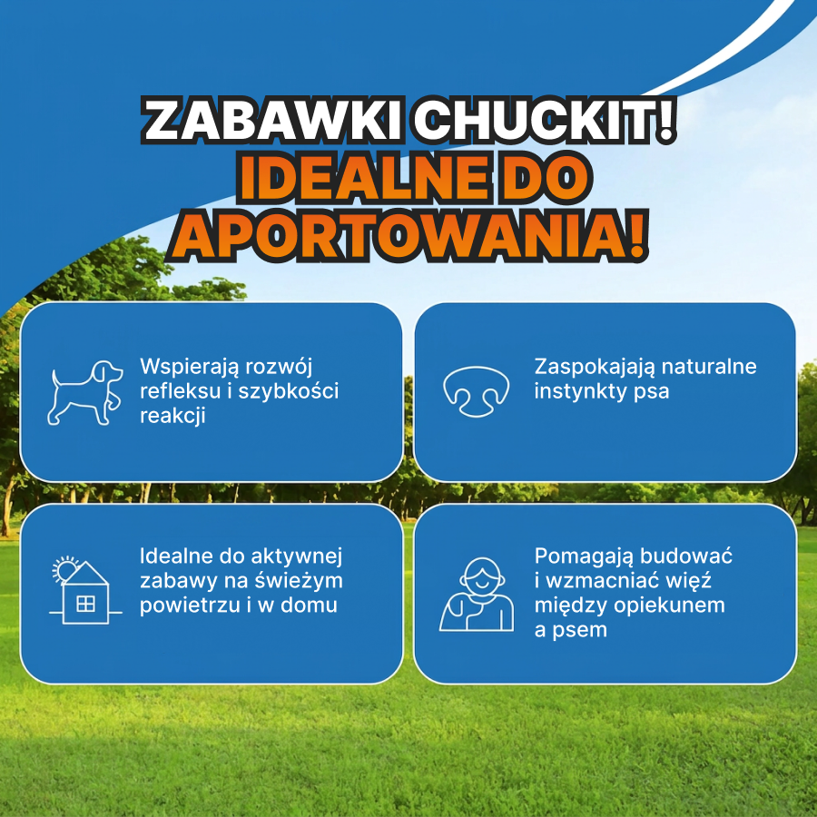 Chuckit! Pałka dla psa | Zabawka z otworami na przysmaki | Trening i zabawa | Pomarańczowa, rozmiar L