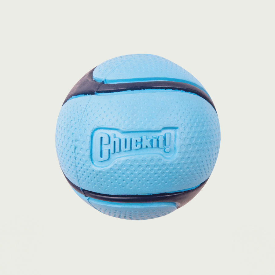Chuckit! Zabawka – piłka dla psa | o zapachu bekonu | Niebieska, rozmiar M