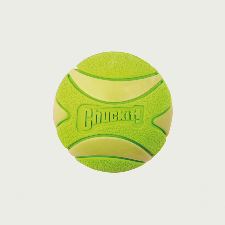 ChuckIt! Piłka z piszczałką dla psa | Świeci w ciemności | Sport i zabawa | Jasnozielona, rozmiar M