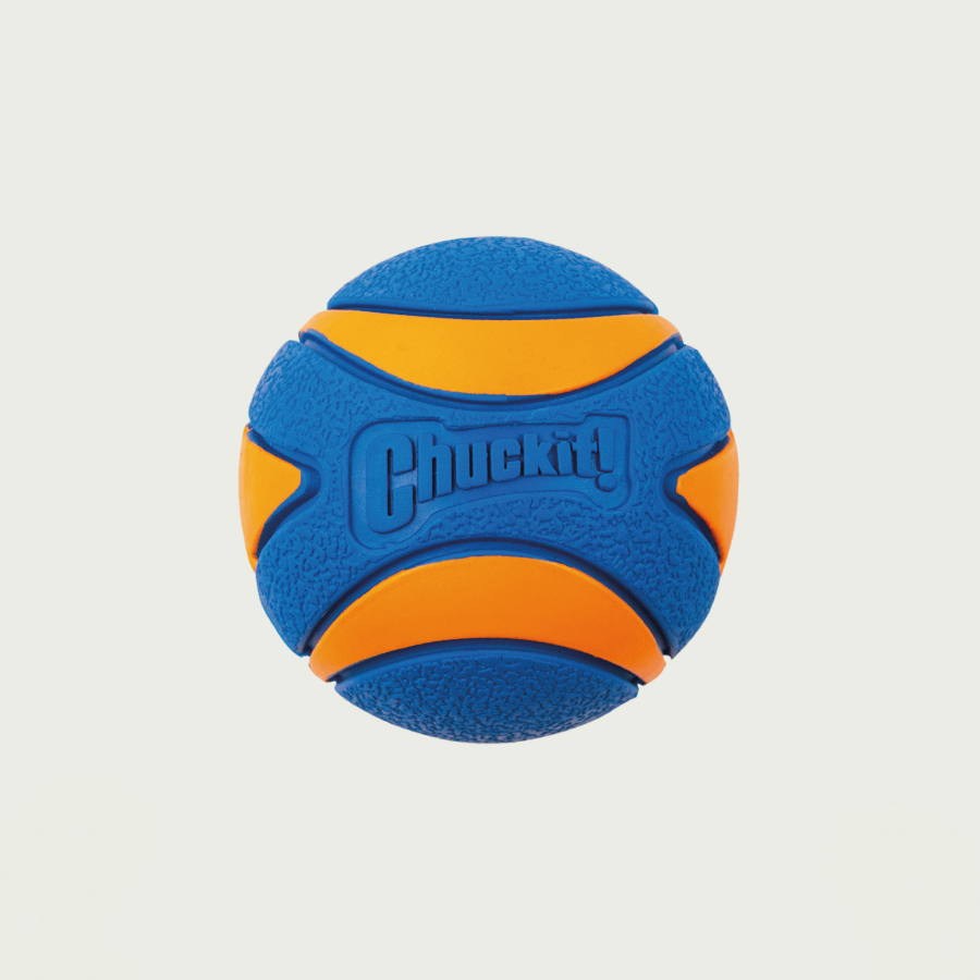 Chuckit! Zabawka – piłka z piszczałką dla psa | Trening i zabawa | Pomarańczowo-niebieska, rozmiar M