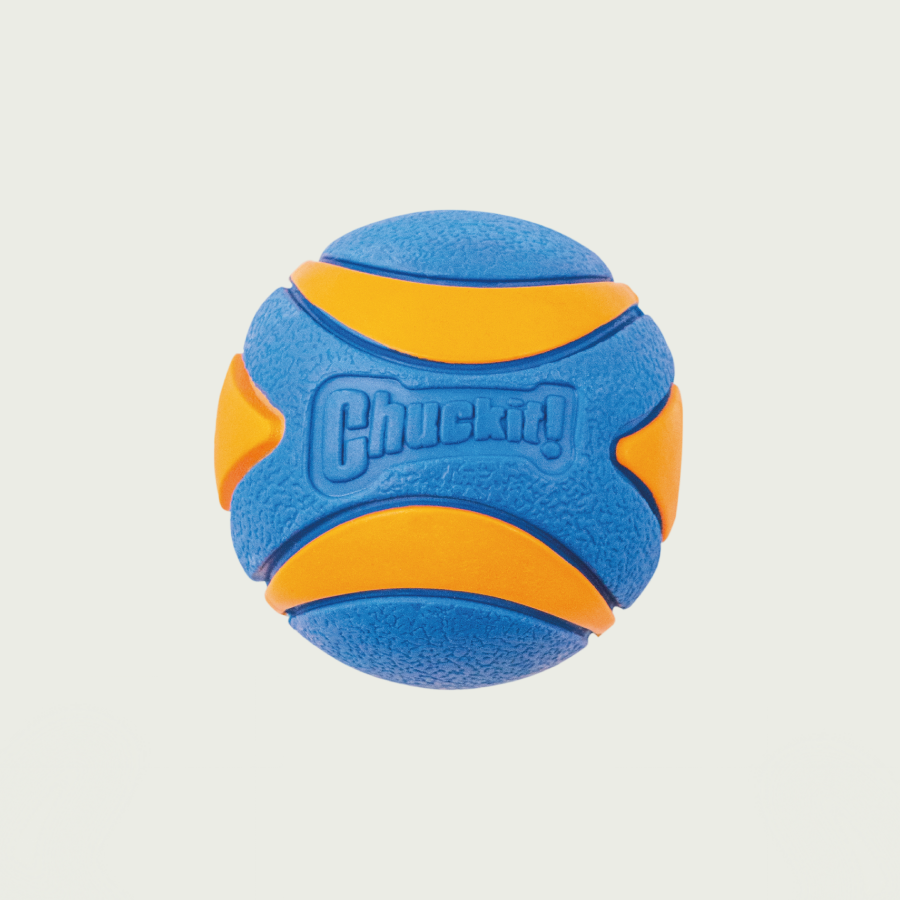 Chuckit! Zabawka - piłka z piszczałką dla psa | Trening i zabawa | Pomarańczowo-niebieska, rozmiar S