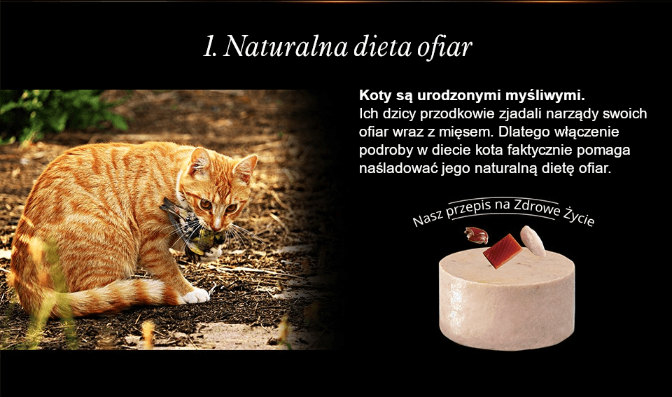 PROMOCJA (20+4) Chérie Kolekcja Aksamitnych Musów Zestaw 24 szt. x 80 g. + GRATIS 1 Meaty Cubes