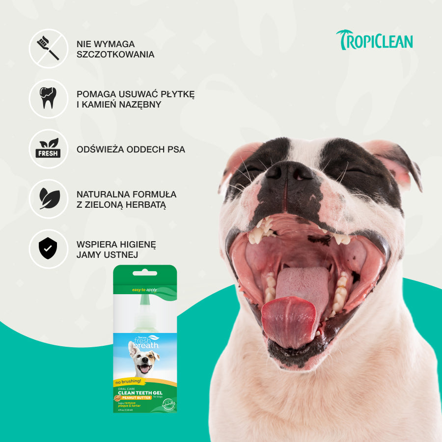 TropiClean Żel do Zębów Cleen Teeth | dla Psa | 118ml