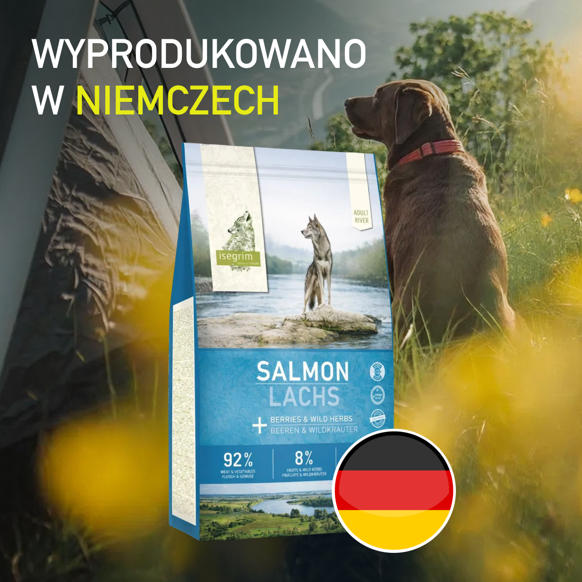 Isegrim Łosoś + jagody i dzikie zioła | Adult 3kg