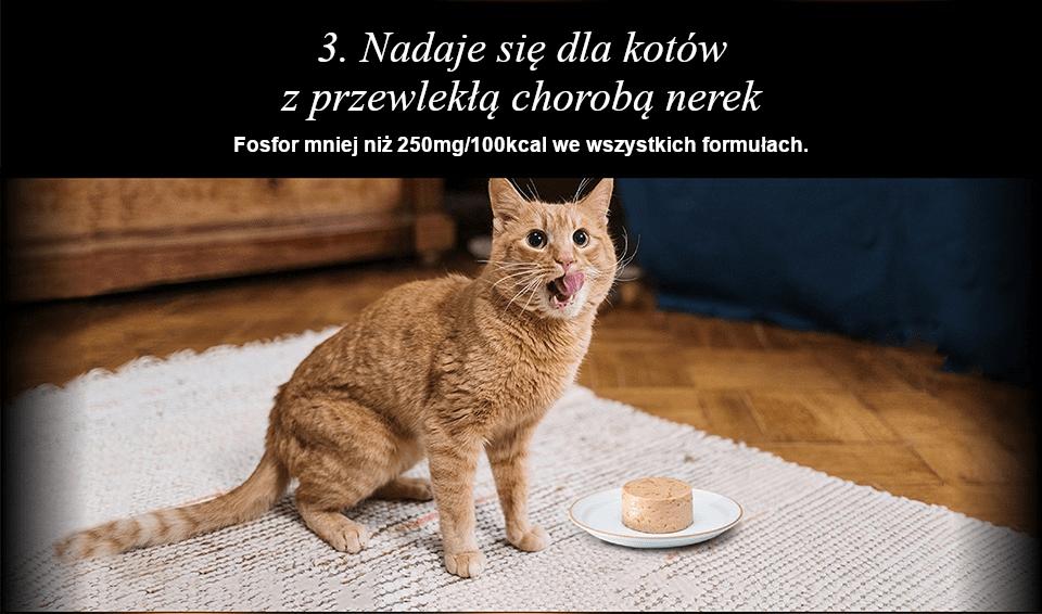 PROMOCJA (20+4) Chérie Kolekcja Aksamitnych Musów Zestaw 24 szt. x 80 g. + GRATIS 1 Meaty Cubes