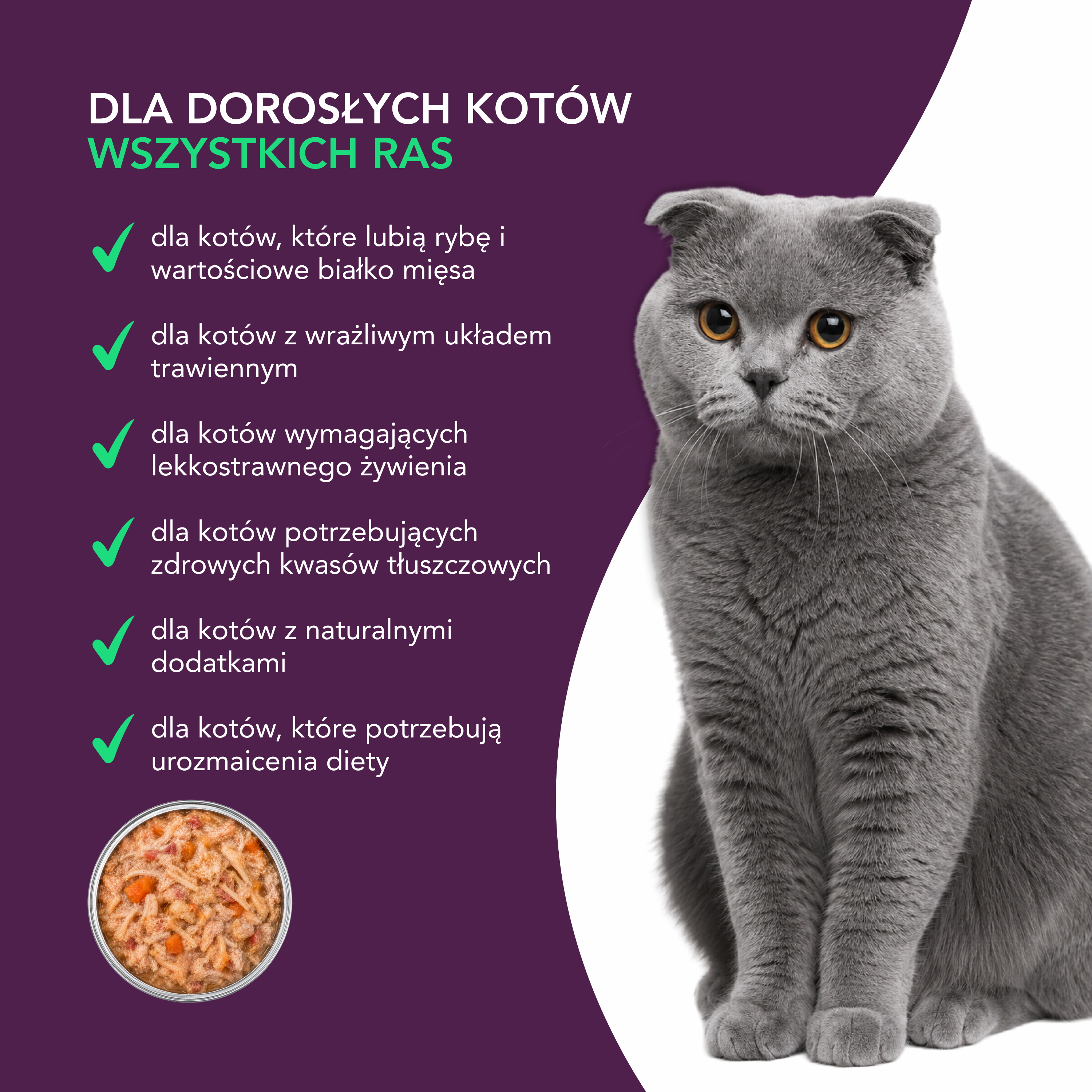 nuevo Kot filet Kurczak Łosoś Marchewka | 85g