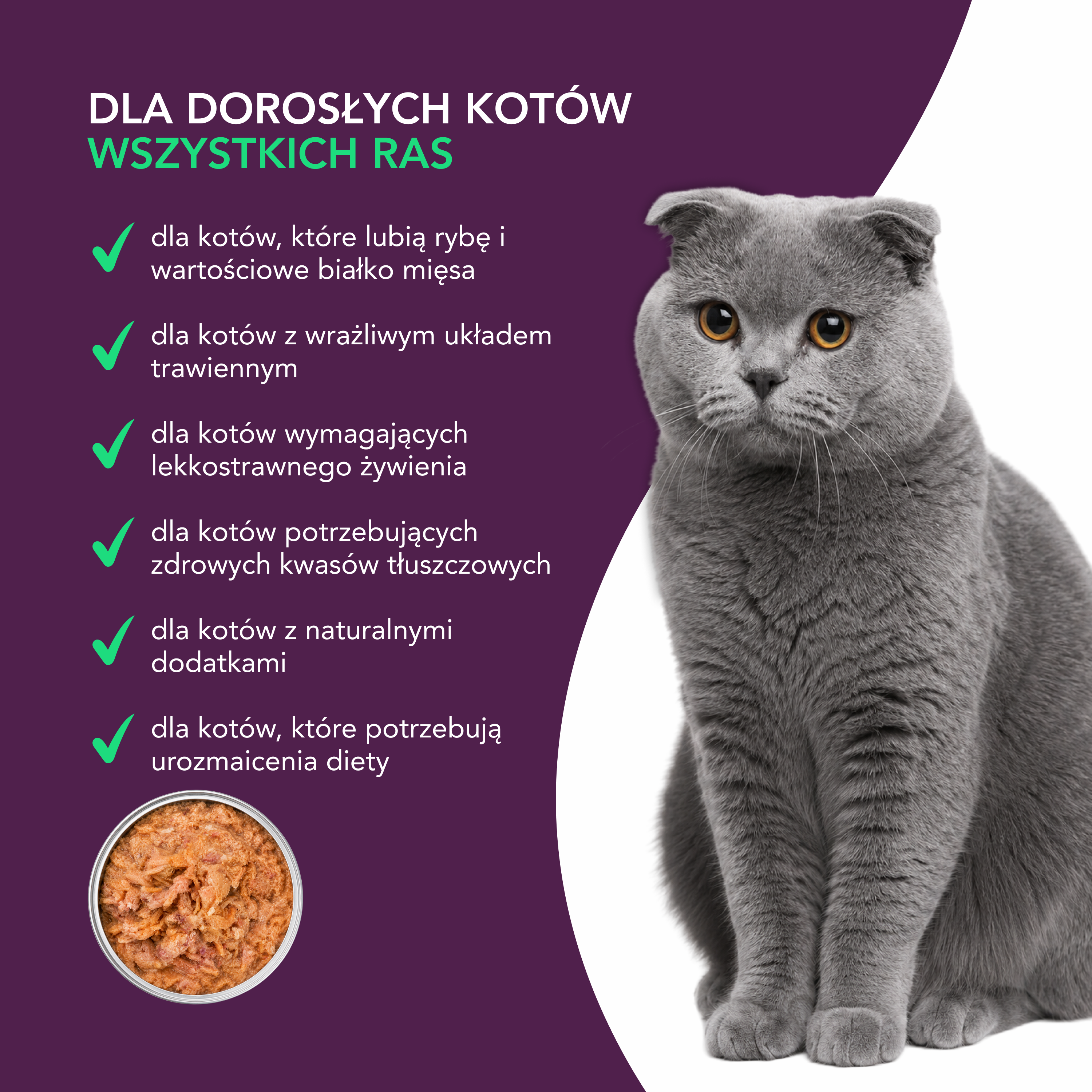 nuevo Kot filet Łosoś Indyk | 85g