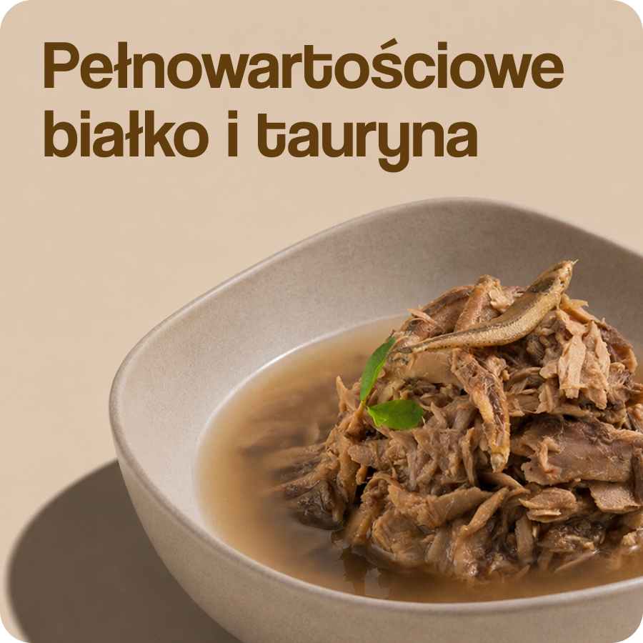 Broth