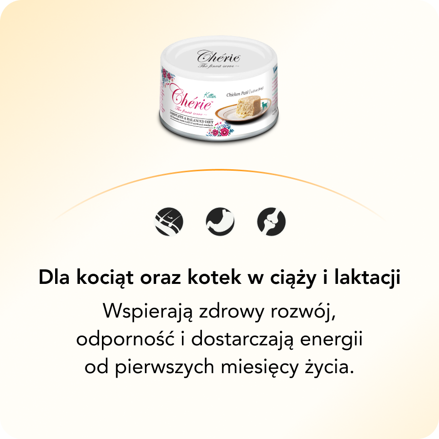 Dla kociąt