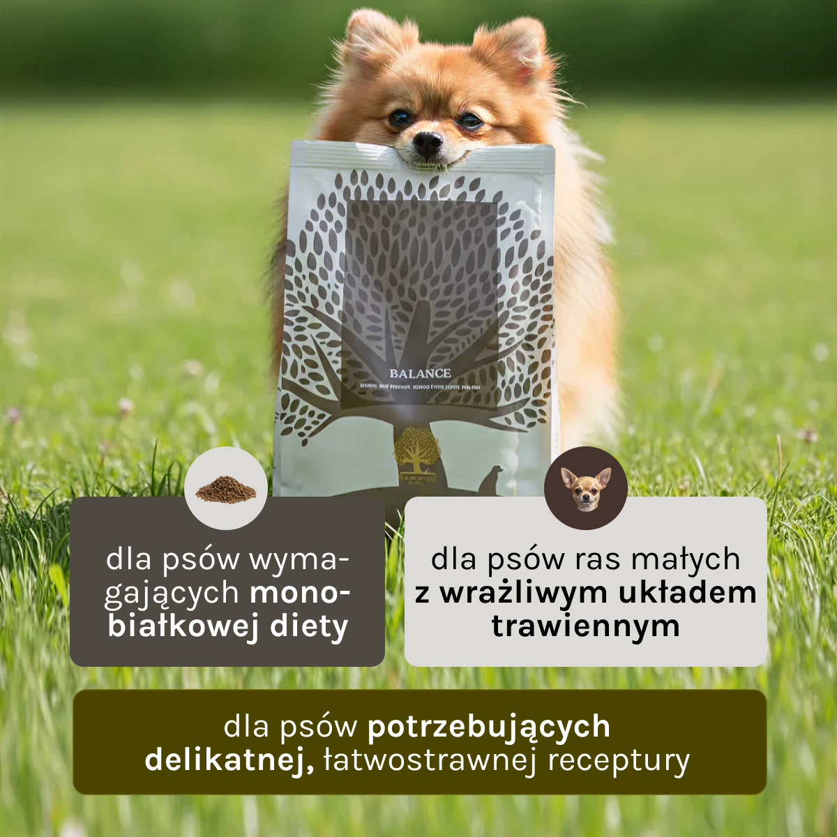 Essential Balance dla Psa | Monobiałkowa, 2,5kg