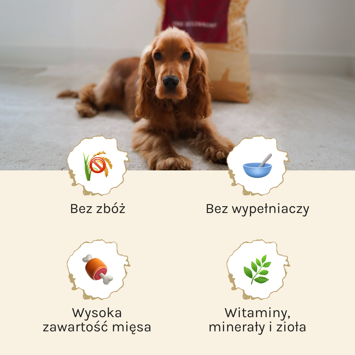 Essential Beginning dla Psa | Bez zbóż, 2,5kg