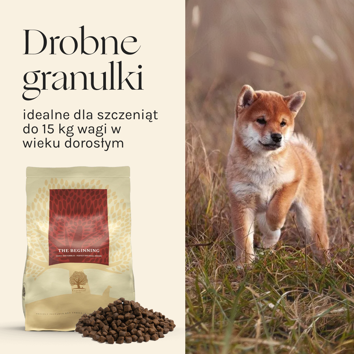 Essential Beginning dla Psa | Bez zbóż, 2,5kg