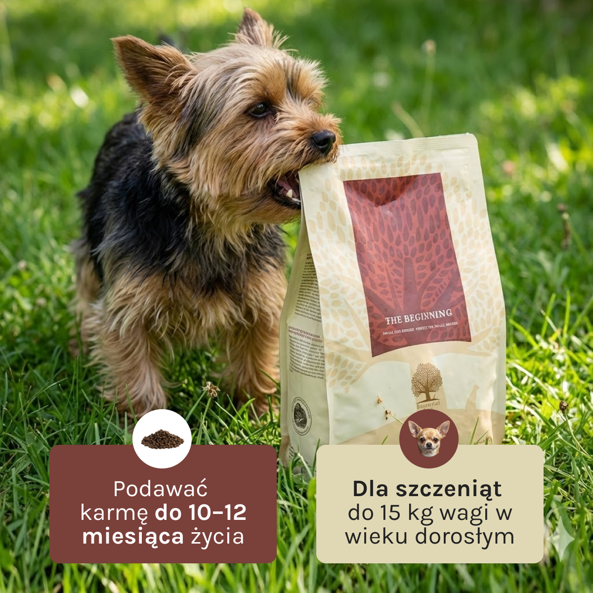 Essential Beginning dla Psa | Bez zbóż, 2,5kg