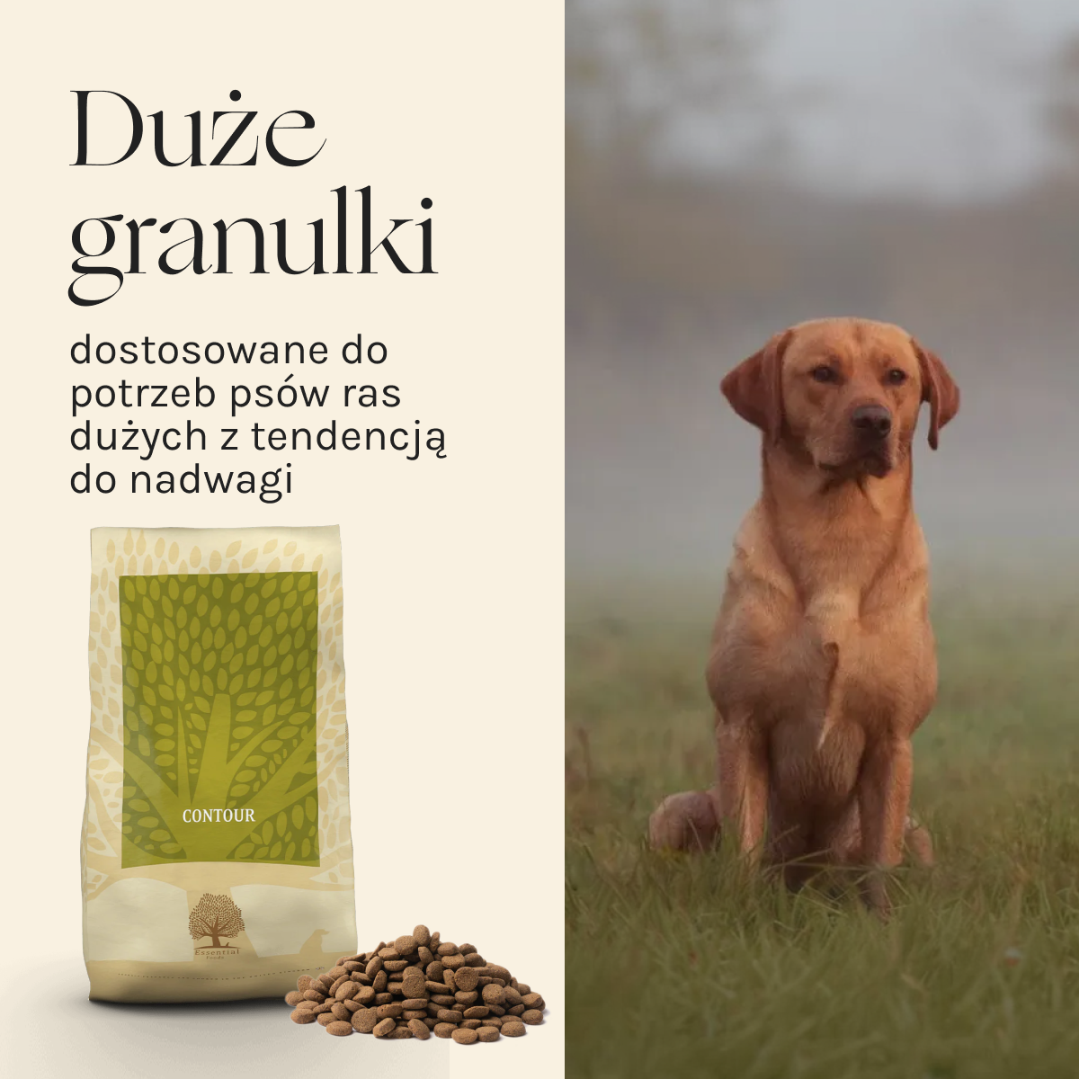 Essential Contour dla Psa | Bez zbóż, 10kg