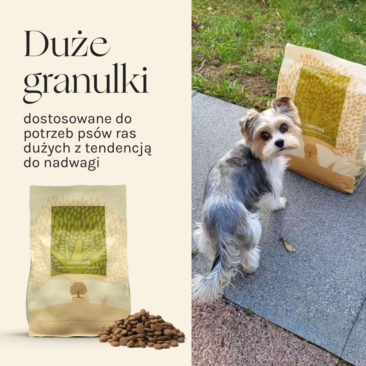 Essential Contour dla Psa | Bez zbóż, 2,5kg