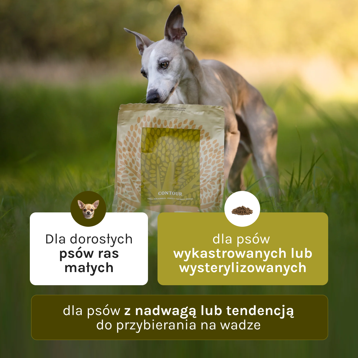 Essential Contour dla Psa | Bez zbóż, 2,5kg
