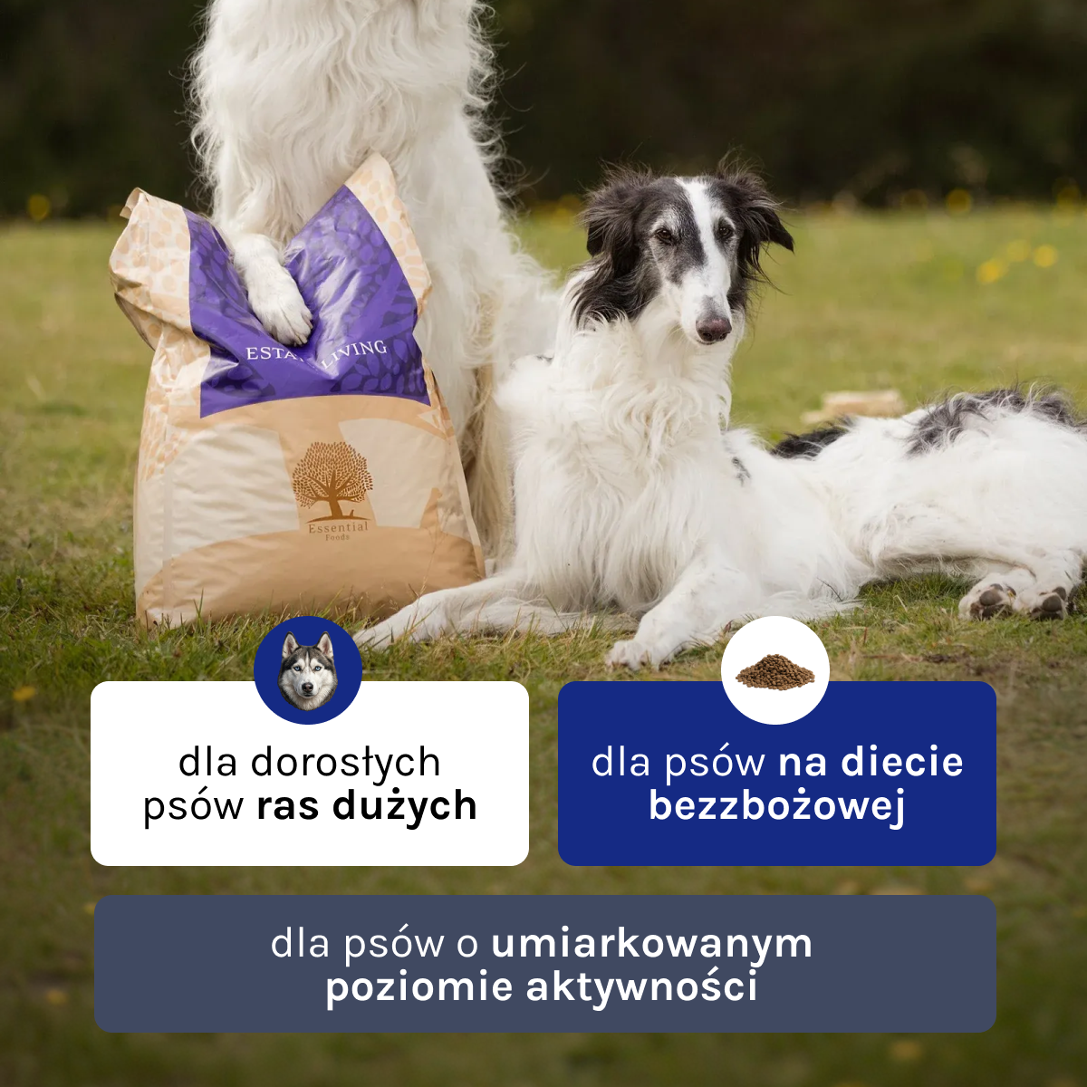 Essential Estate Living dla Psa | Bez zbóż, 10kg