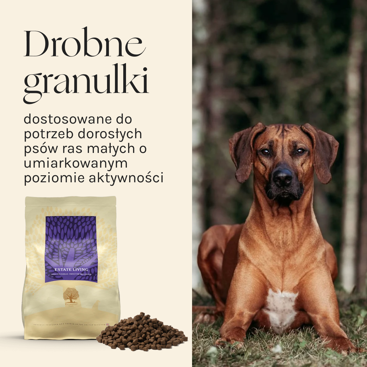 Essential Estate Living dla Psa | Bez zbóż, 2,5kg