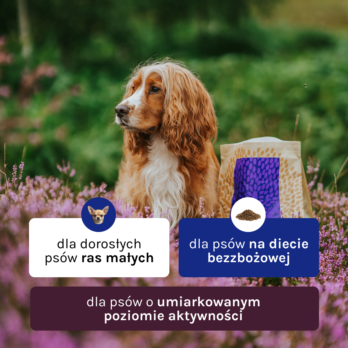 Essential Estate Living dla Psa | Bez zbóż, 2,5kg