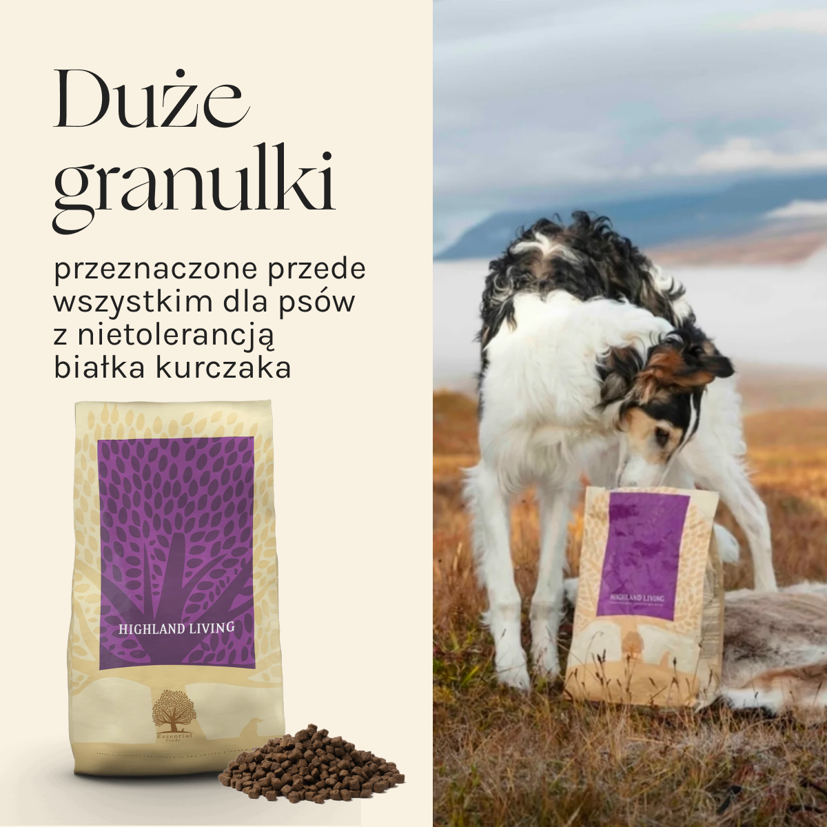 Essential Highland Living dla Psa | Bez zbóż, 10kg