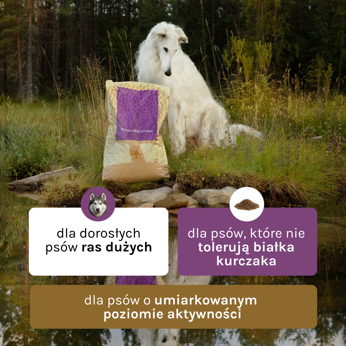 Essential Highland Living dla Psa | Bez zbóż, 10kg