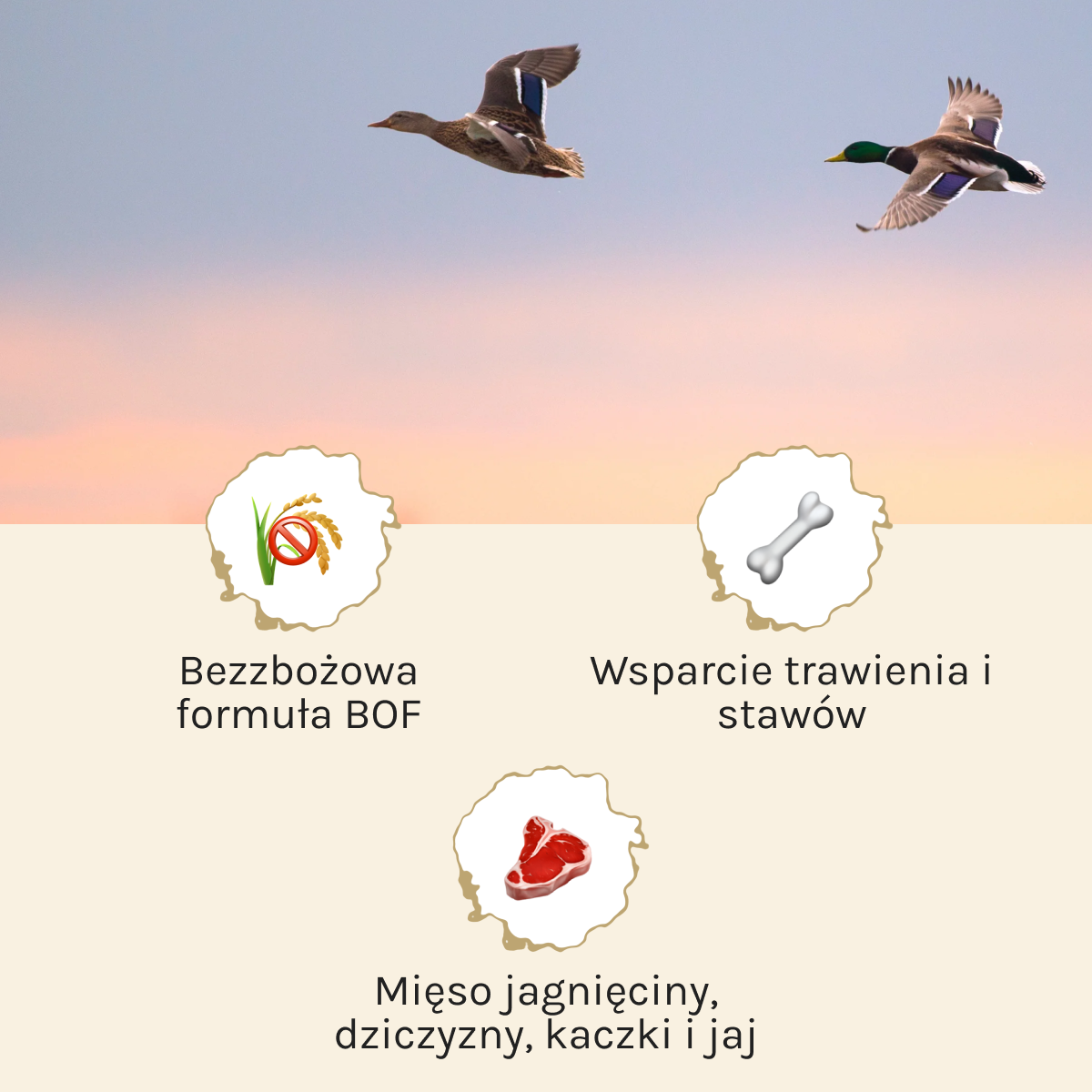 Essential Highland Living dla Psa | Bez zbóż, 2,5kg