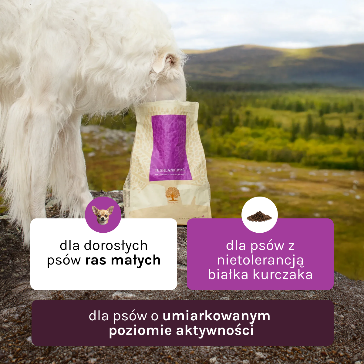 Essential Highland Living dla Psa | Bez zbóż, 2,5kg