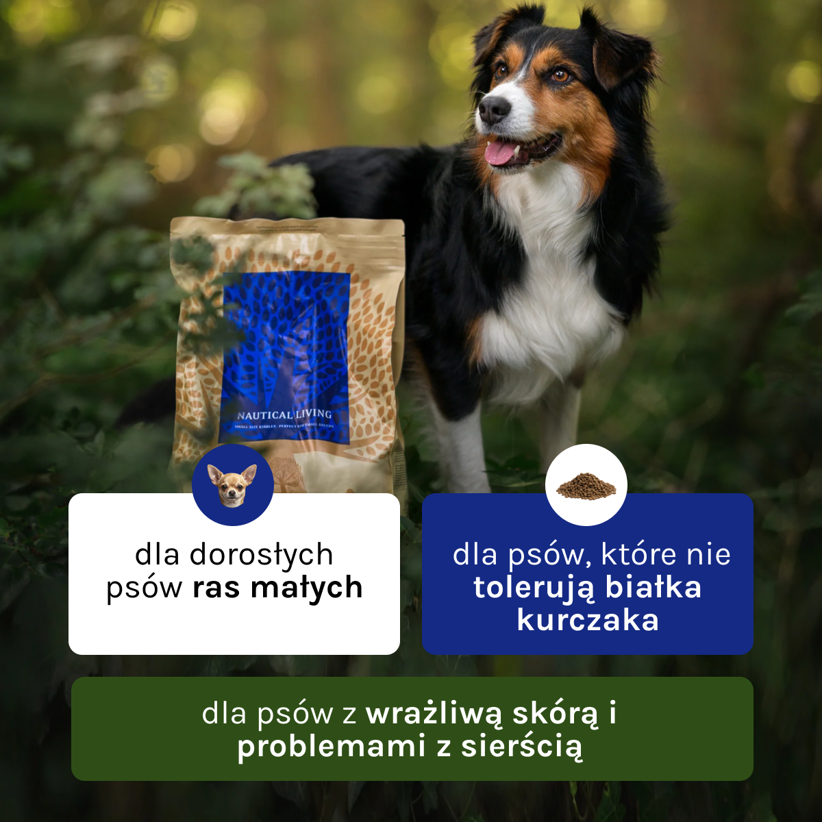Essential Nautical Living dla Psa | Bez zbóż, Adult, 2,5kg