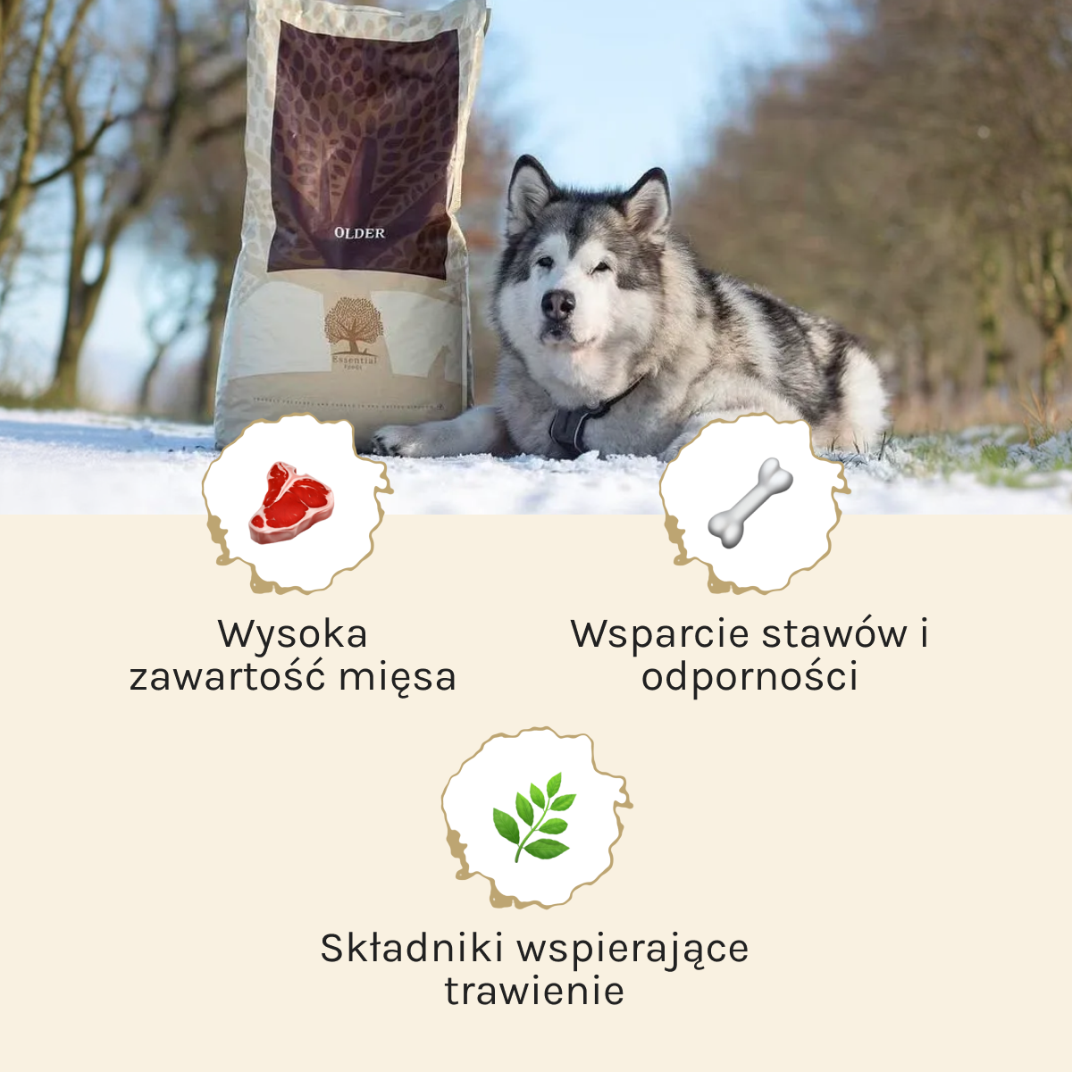 Essential Older dla Psa | Bez zbóż, Senior, 10kg