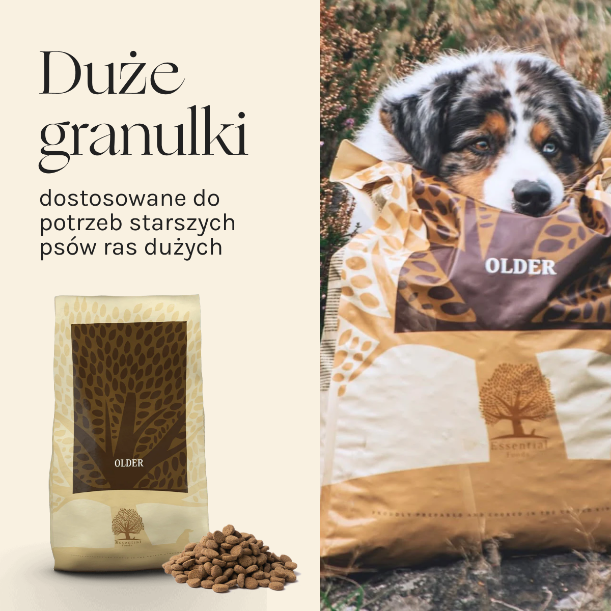 Essential Older dla Psa | Bez zbóż, Senior, 10kg