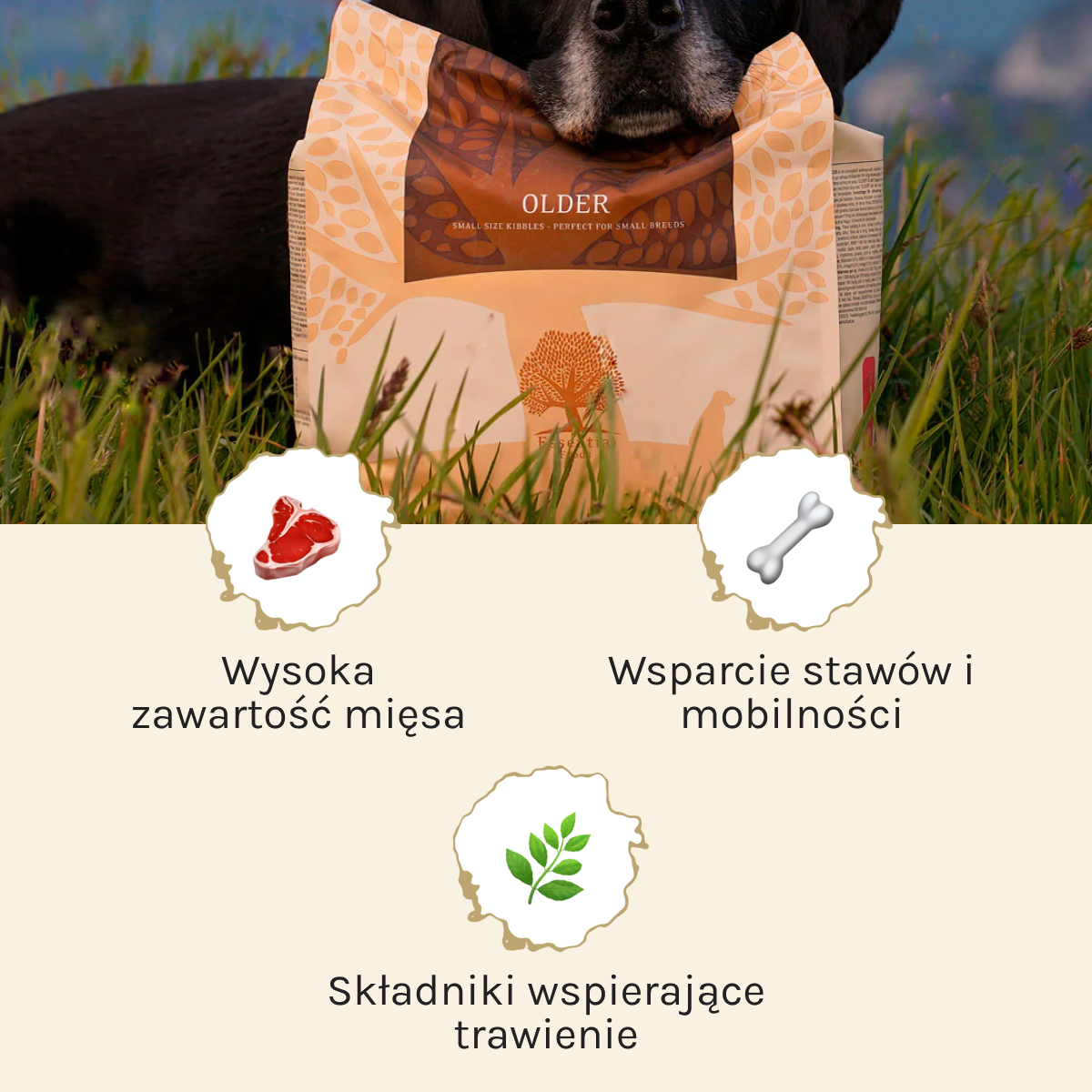 Essential Older dla Psa | Bez zbóż, Senior, 2,5kg