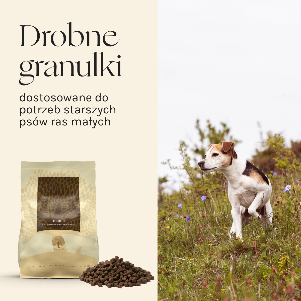 Essential Older dla Psa | Bez zbóż, Senior, 2,5kg