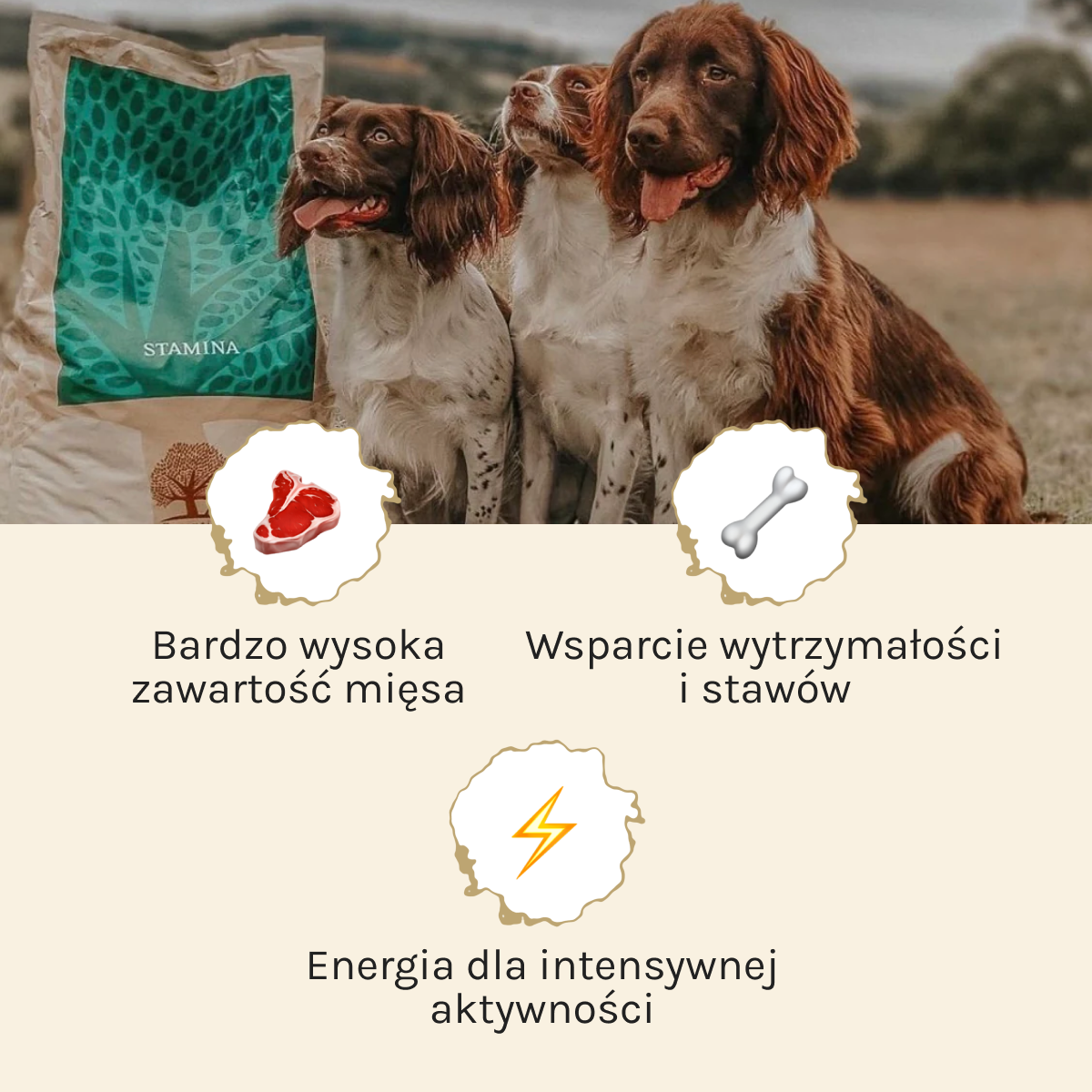Essential Stamina dla Psa | Bez zbóż, Adult, 10kg